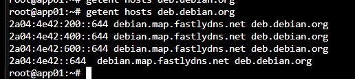 DNS resolution working again after the nftables correction