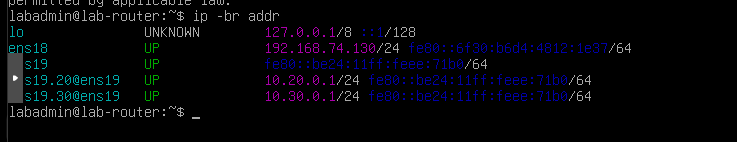 VLAN interfaces restored after reboot