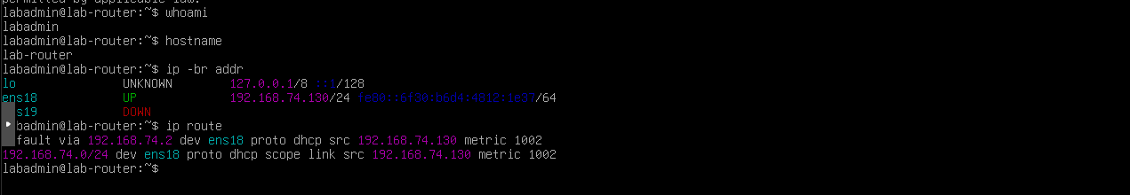 Initial interfaces and routing on lab-router