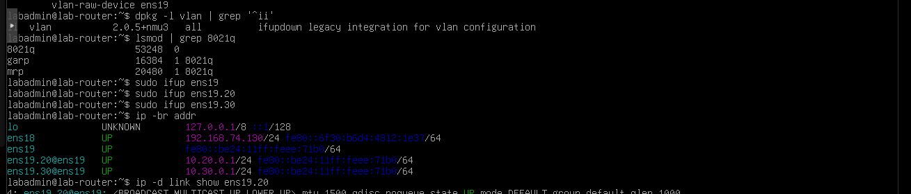 Verifying ens19.20 and ens19.30