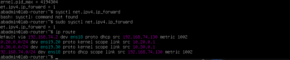 IPv4 forwarding and route verification