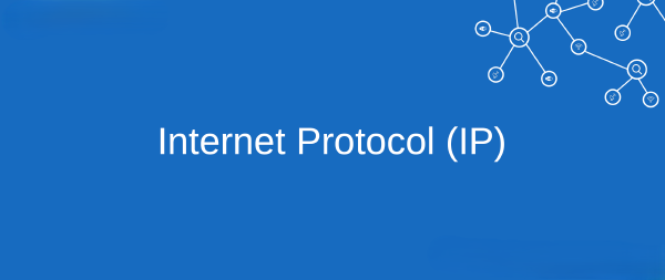 Internet Protocol (IP) Explained: Addressing, Subnets, DHCP, and NAT