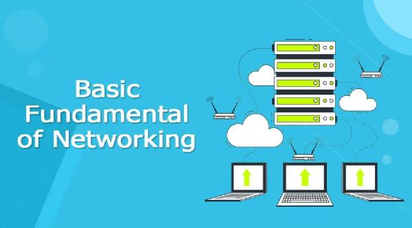 Understanding Internet Connectivity and Network Cabling: A Complete Guide